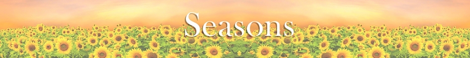 Picture for category Four Seasons