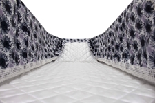 Picture of Black & White Daisy